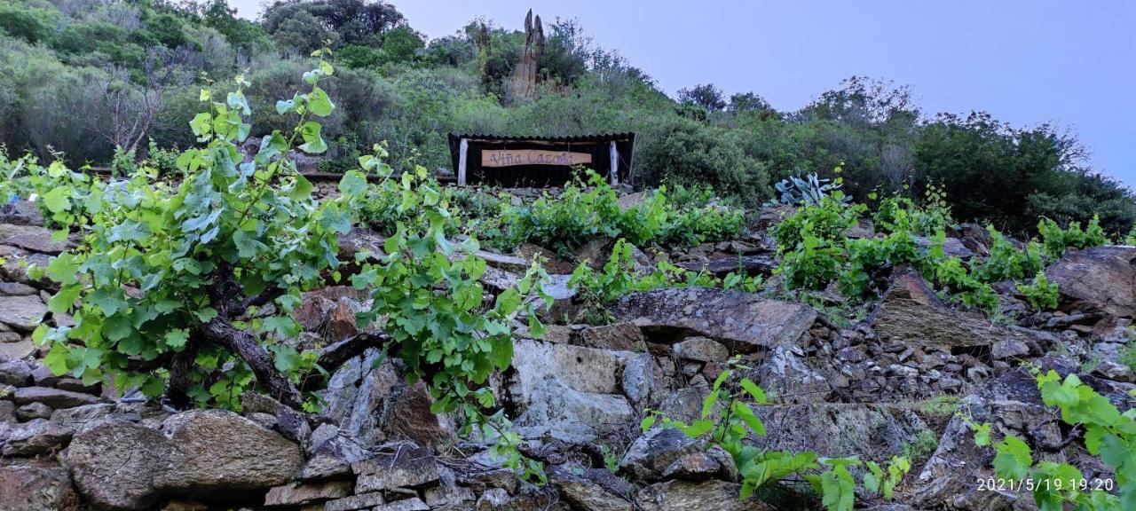 Villa Vina Cazoga Sober Exterior foto